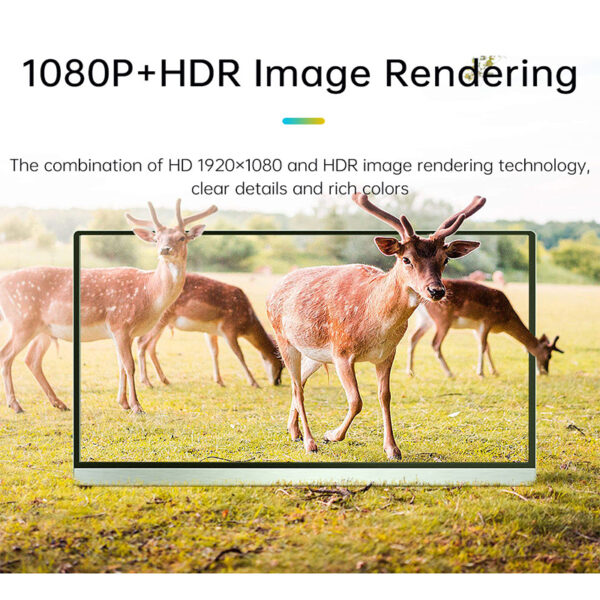 4k projection monitor